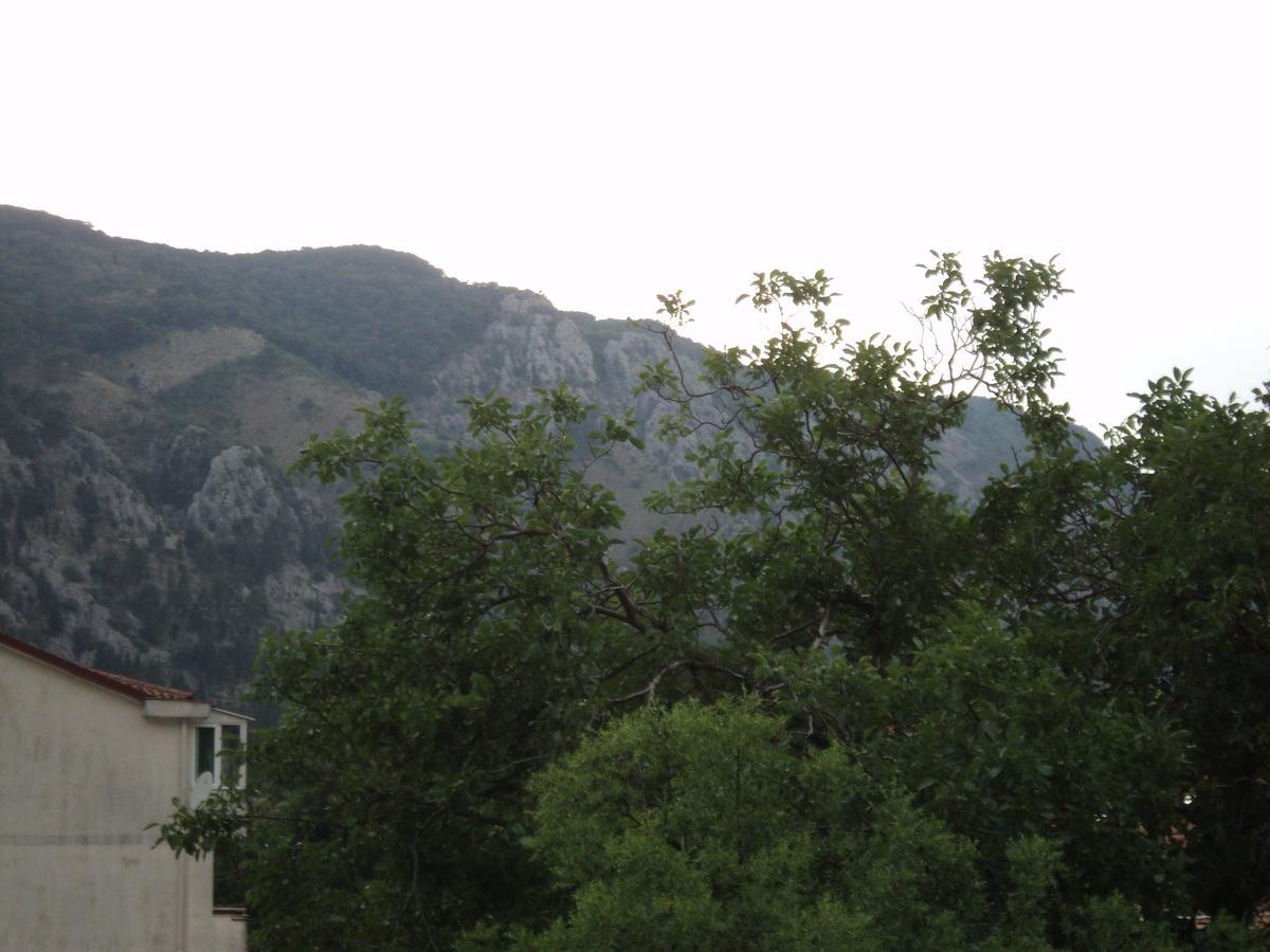 Apartment Skaljari