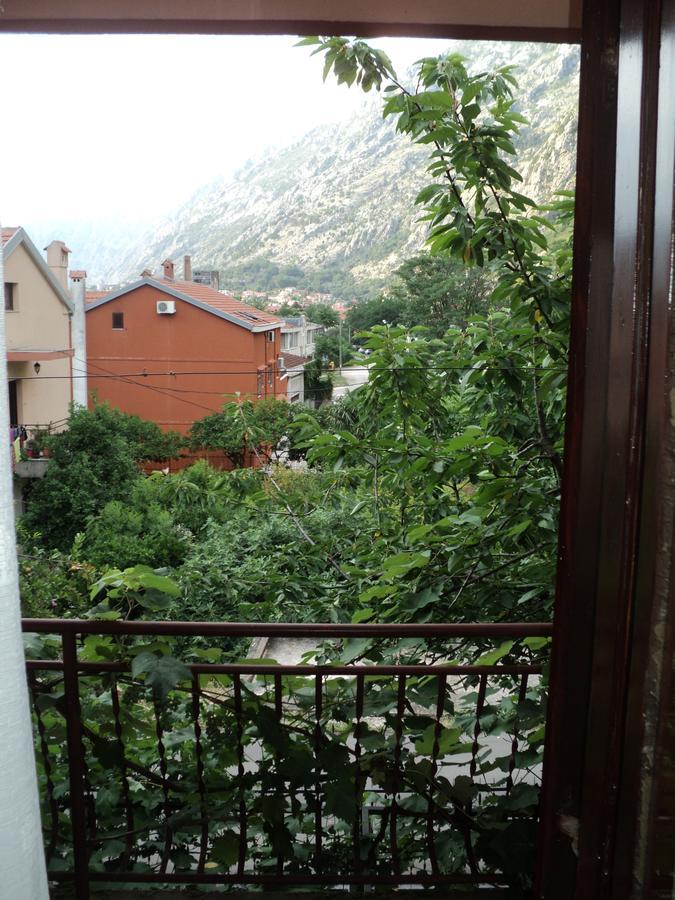 Skaljari * Kotor