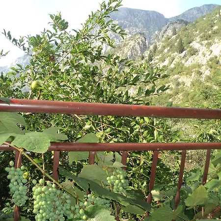 Apartments Skaljari Kotor Exterior foto