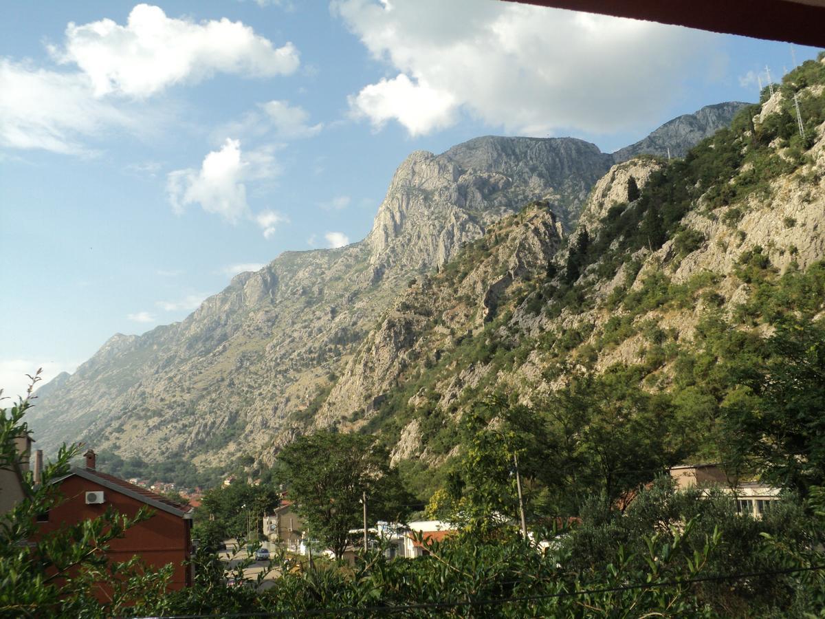 Skaljari Котор