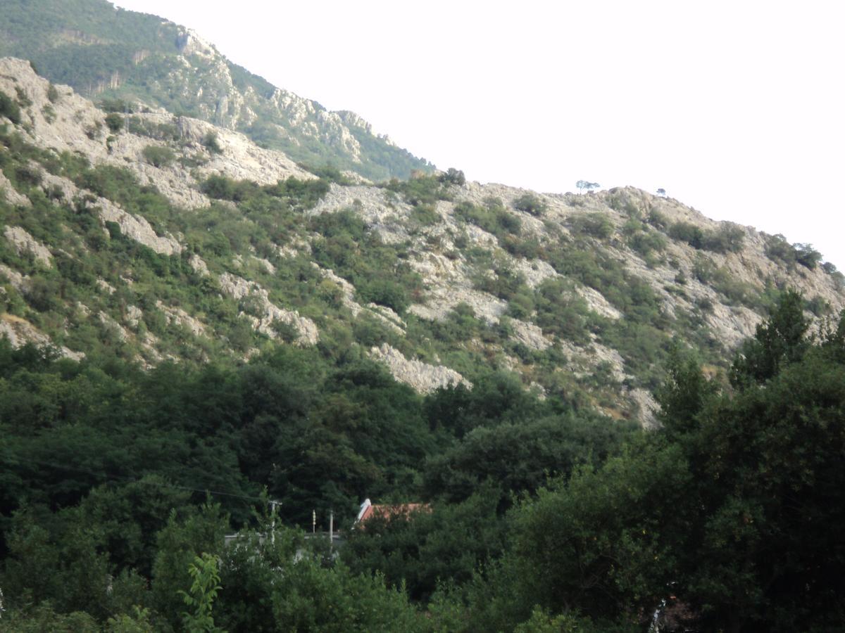 Skaljari Апартаменти *