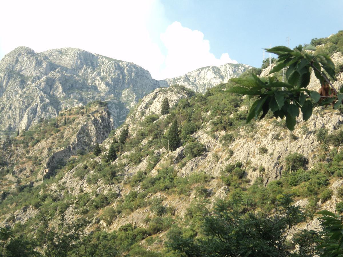 Skaljari Котор